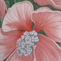Inaugurazione murale ‘Althaea Officinalis l.’ realizzato dall'artista Doa Oa