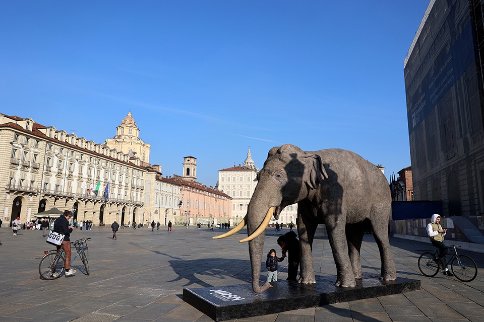 In piazza Castello l’elefante Fritz annuncia la riapertura del museo regionale di Scienze Naturali