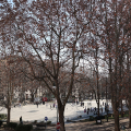 Piazza Arbarello