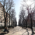 Inaugurazione Piazza Arbarello
