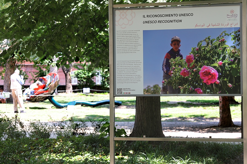 Ai Giardini Reali ‘La Rosa di Damasco. Dalla Siria a Torino’