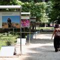 La mostra fotografica 'La Rosa di Damasco. Dalla Siria a Torino'