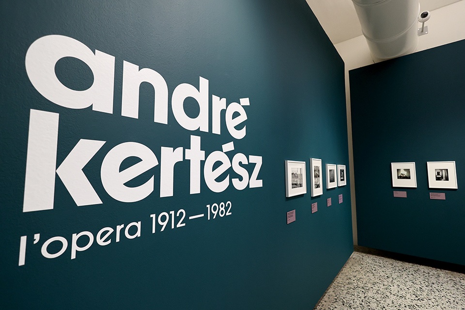 André Kertész & gli sguardi contemporanei sugli Archivi Alinari a Camera