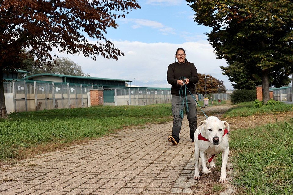 Cani in famiglia e in città! Al via gli incontri formativi per proprietari e amanti degli amici a quattro zampe