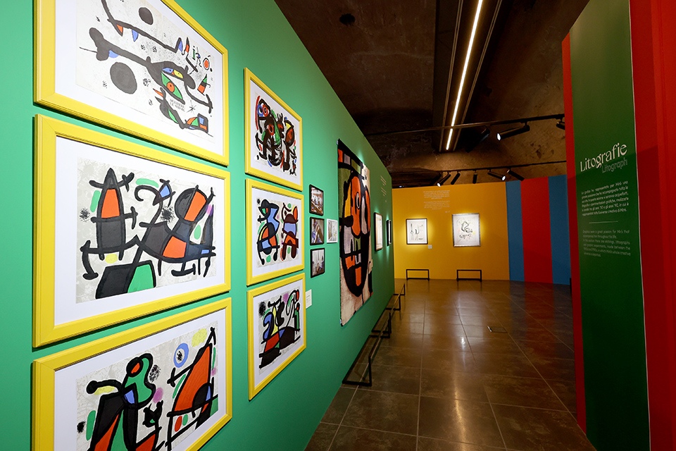Mirò a Torino