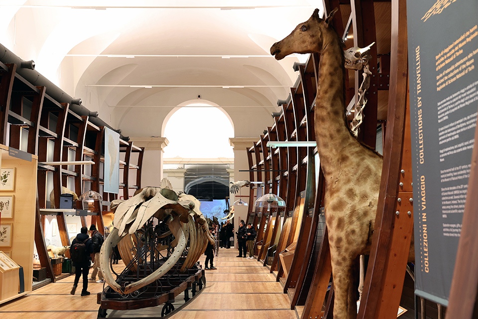 Riapre al pubblico il Museo Regionale di Scienze Naturali