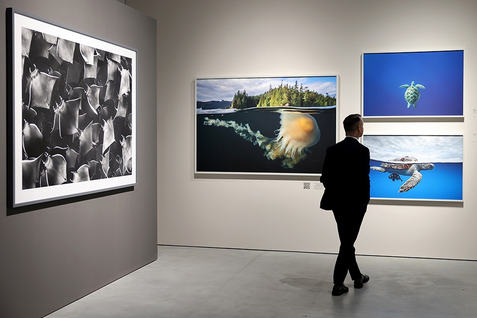 Alle Gallerie d’Italia la mostra 'Cristina Mittermeier. La grande saggezza'