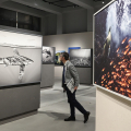 Alle Gallerie d’Italia la mostra 'Cristina Mittermeier. La grande saggezza'