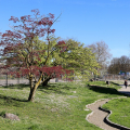 Parco del Valentino