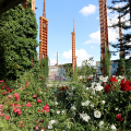 Al Parco Dora presentato l’intervento di riqualificazione del Roseto realizzato da Movement Entertaiment