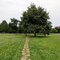 Inaugurazione del rinnovato Parco di Vittorio