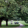 Inaugurazione del rinnovato Parco di Vittorio