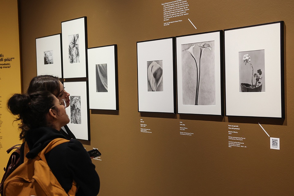 Tina Modotti, l'opera e Mimmo Jodice, Oasi a CAMERA - Centro Italiano per la Fotografia