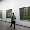 Mitch Epstein. American nature