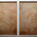 Mitch Epstein. American nature