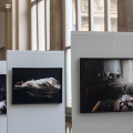 Palazzo Civico, Loggiato Mostra fotografica History of violence di Claudio Craver