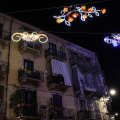 Piazza Foroni, Bouquet di fiori luminosi