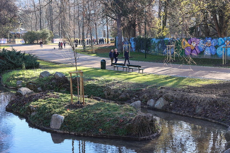 Il Parco del Valentino si rinnova: riaperto il primo viale riqualificato
