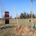Al parco Colonnetti nasce il Bosco del Toro, l’iniziativa di Suzuki e Torino Fc per una città ancora più verde