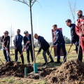Al parco Colonnetti nasce il Bosco del Toro, l’iniziativa di Suzuki e Torino Fc per una città ancora più verde