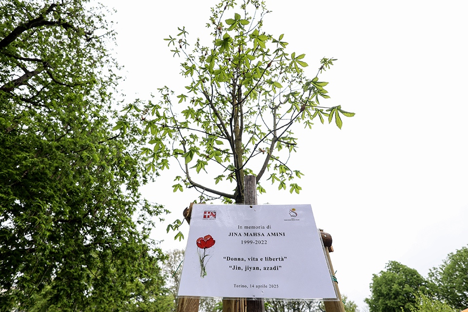 In ricordo di Masha Amini e delle lotte delle donne iraniane, un albero ai Giardini Cavour