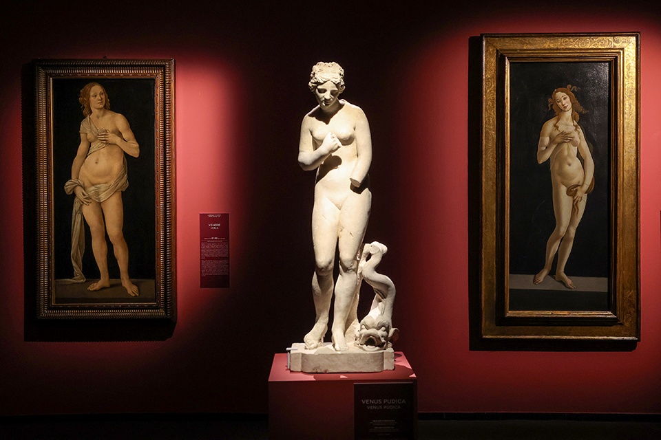 Da Botticelli a Mucha: la bellezza attraverso i secoli in mostra a Musei Reali di Torino