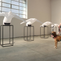 Mario Merz Prize 5 – Shortlist Art Exhibition