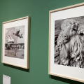 Alfred Eisenstaedt, maestro del fotogiornalismo, in mostra a CAMERA
