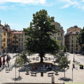 Una piazzetta per Maria Adriana Prolo, fondatrice del Museo del Cinema