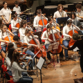 CFM Sneakers Orchestra