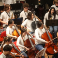 CFM Sneakers Orchestra
