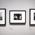 CAMERA presenta Edward Weston, maestro della fotografia moderna