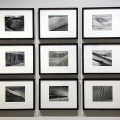 CAMERA presenta Edward Weston, maestro della fotografia moderna