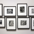 CAMERA presenta Edward Weston, maestro della fotografia moderna