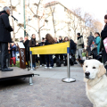 Inaugurata la nuova area cani “Galileo Ferraris” nel cuore della città