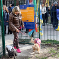 Inaugurata la nuova area cani “Galileo Ferraris” nel cuore della città
