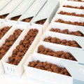 Cioccolatò, in Piazza Vittorio Veneto inaugurata l’edizione 2026