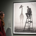 Alle Gallerie d’Italia Torino la mostra “Nick Brandt. The Day May Break. La luce alla fine del giorno”