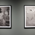 Alle Gallerie d’Italia Torino la mostra “Nick Brandt. The Day May Break. La luce alla fine del giorno”