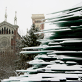 Piazza Benefica - img_0577