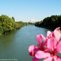 Dal ponte Isabella - dsc08566